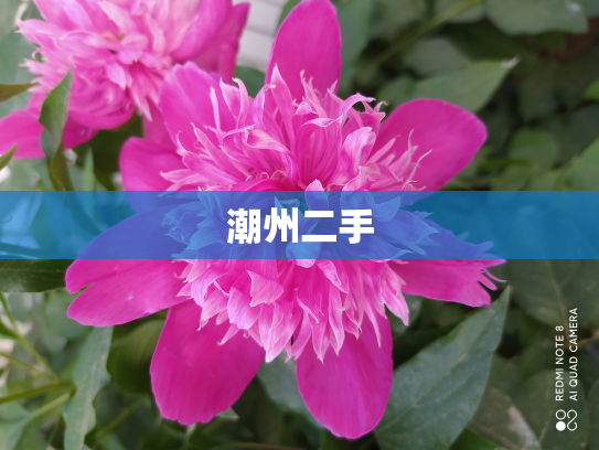 潮州二手