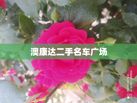 澳康达二手名车广场