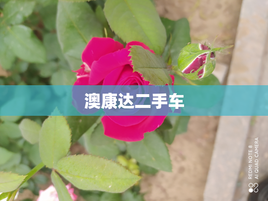 澳康达二手车