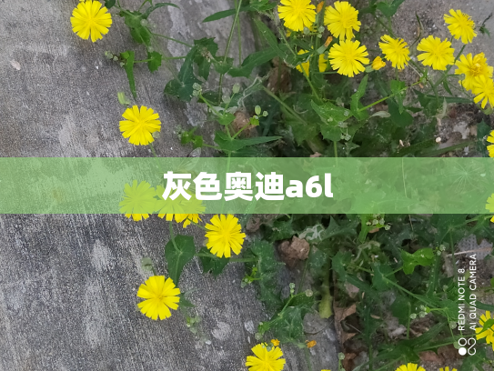 灰色奥迪a6l