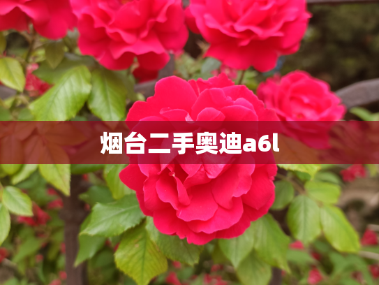 烟台二手奥迪a6l