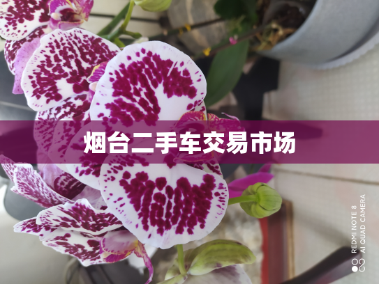 烟台二手车交易市场