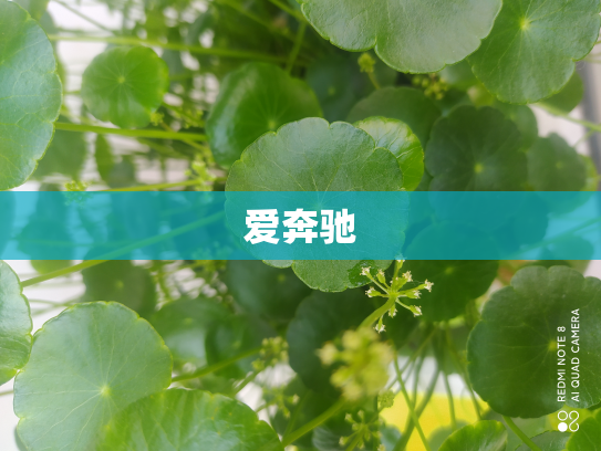 爱奔驰