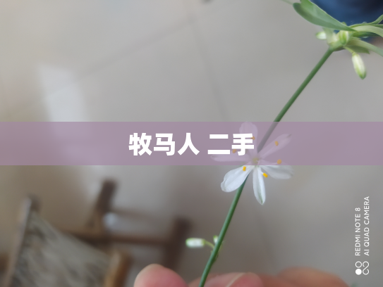 牧马人 二手