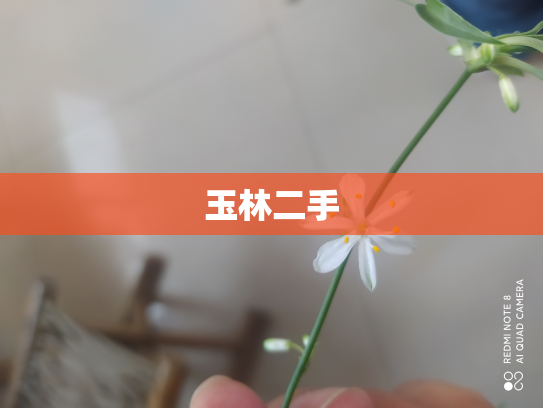 玉林二手
