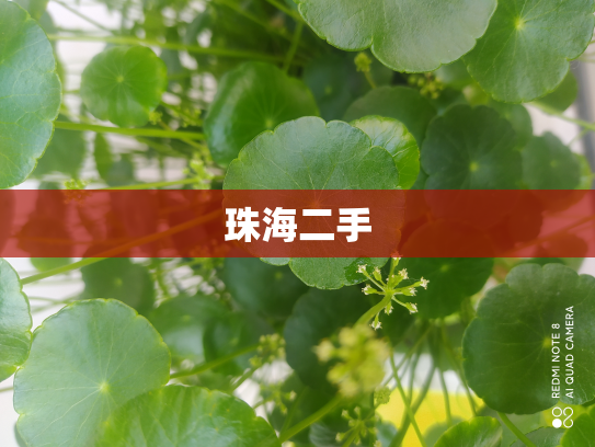 珠海二手