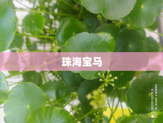 珠海宝马