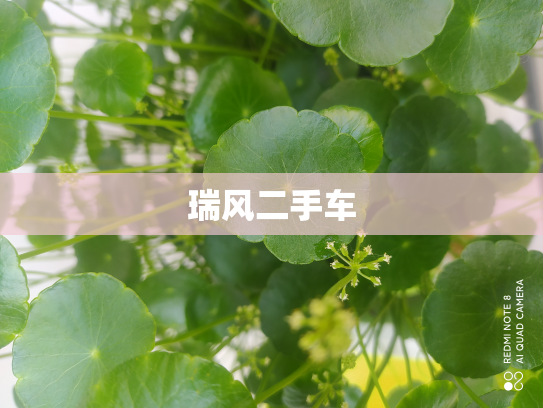 瑞风二手车