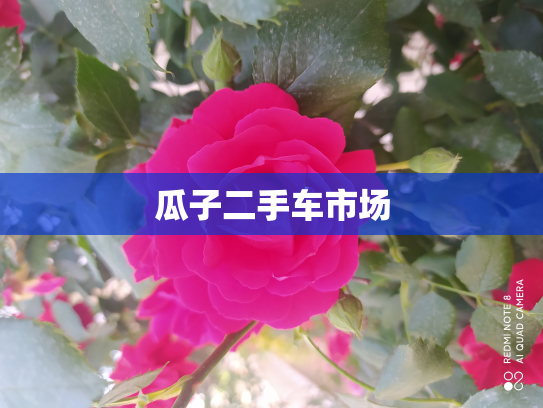 瓜子二手车市场