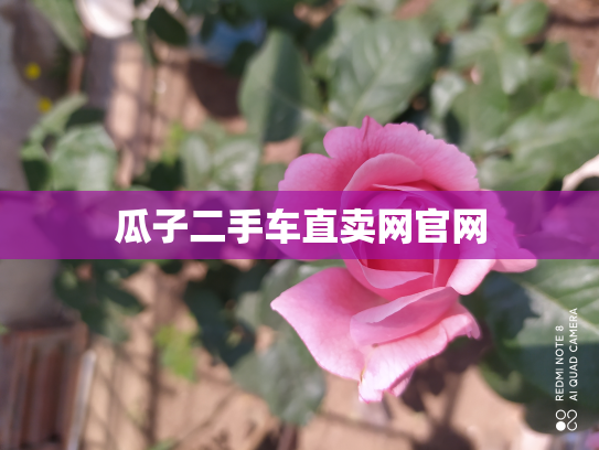 瓜子二手车直卖网官网