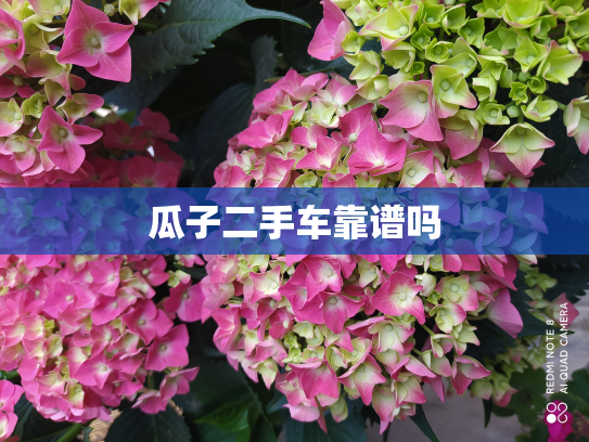 瓜子二手车靠谱吗