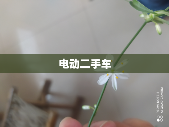 电动二手车