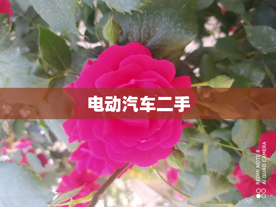 电动汽车二手