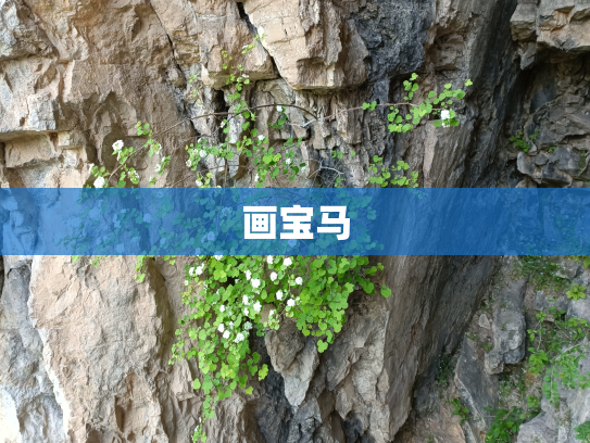 画宝马
