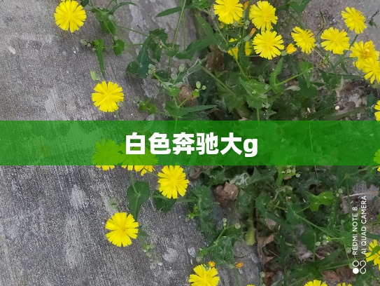 白色奔驰大g