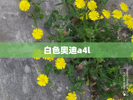 白色奥迪a4l