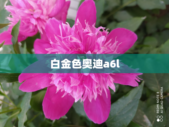 白金色奥迪a6l