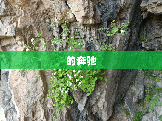 的奔驰