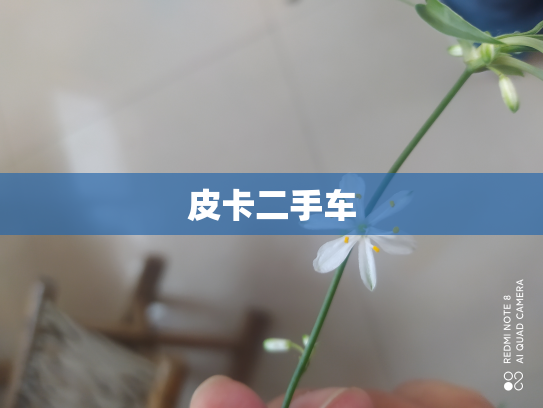 皮卡二手车