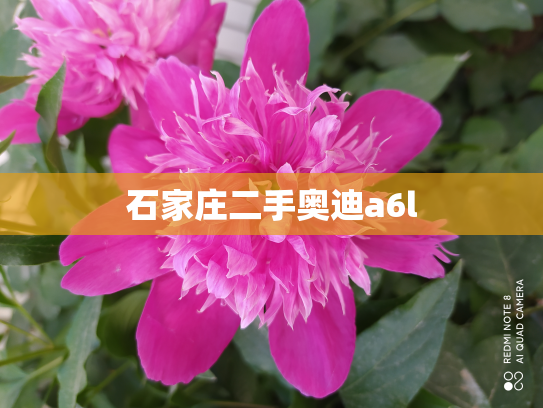 石家庄二手奥迪a6l
