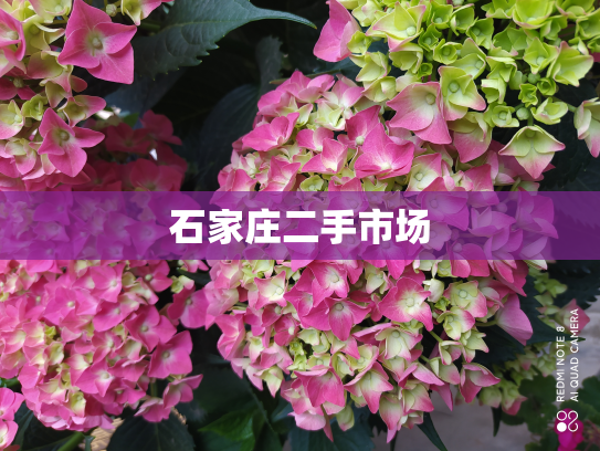 石家庄二手市场