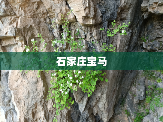 石家庄宝马