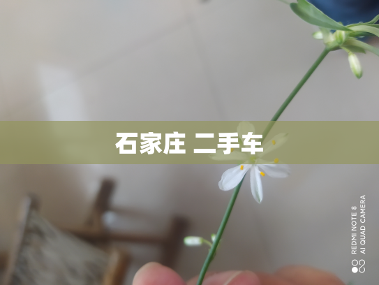 石家庄 二手车
