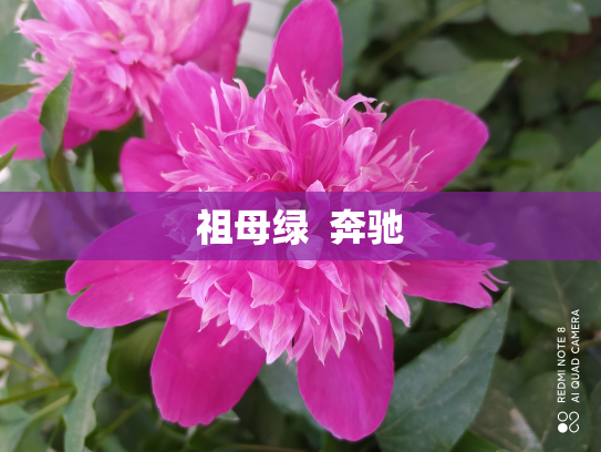 祖母绿  奔驰