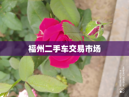 福州二手车交易市场