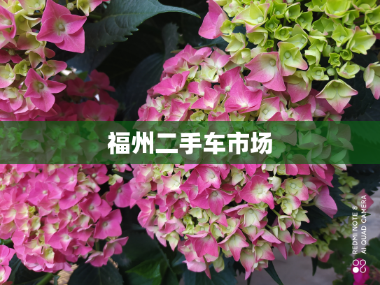 福州二手车市场