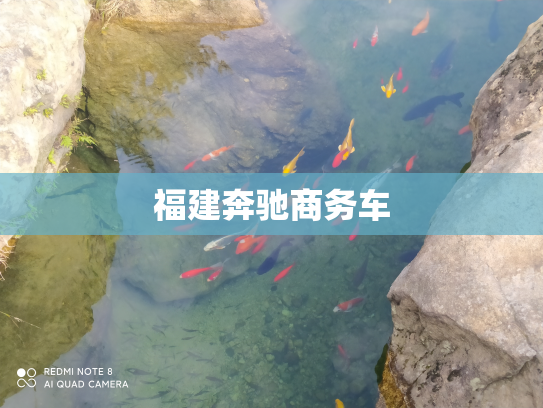 福建奔驰商务车