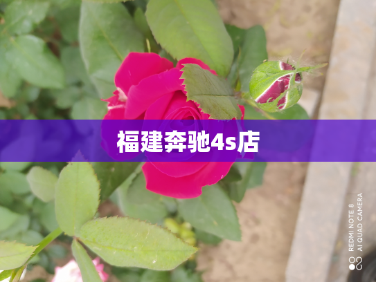福建奔驰4s店