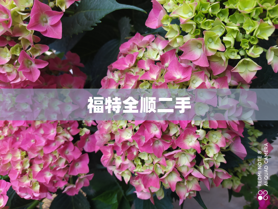 福特全顺二手