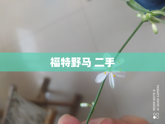 福特野马 二手