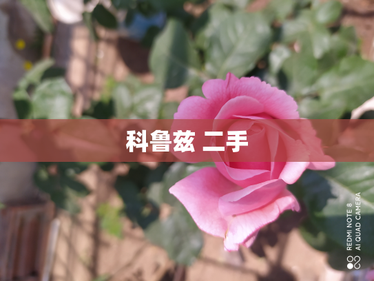 科鲁兹 二手