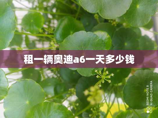 租一辆奥迪a6一天多少钱