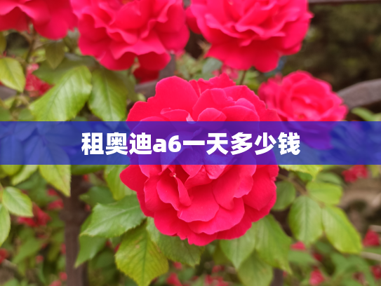 租奥迪a6一天多少钱