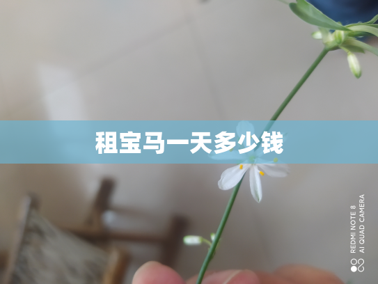租宝马一天多少钱