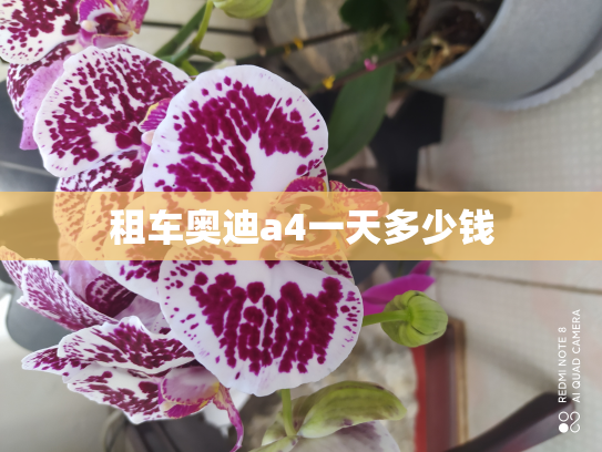 租车奥迪a4一天多少钱
