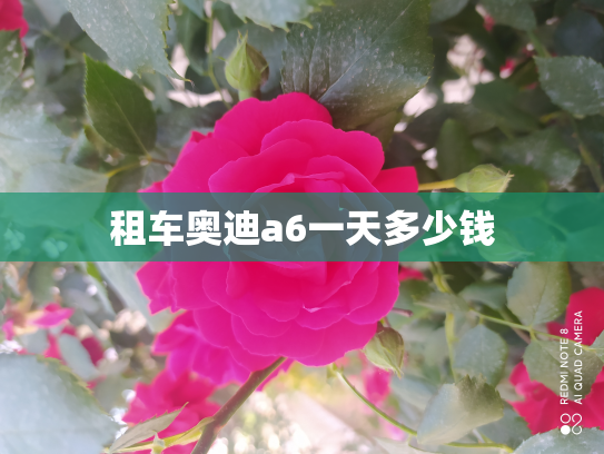 租车奥迪a6一天多少钱
