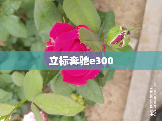 立标奔驰e300