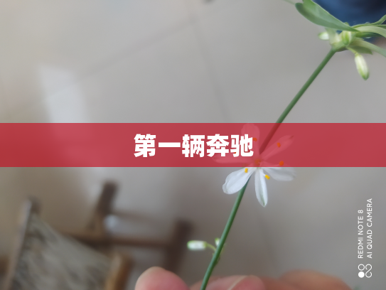 第一辆奔驰