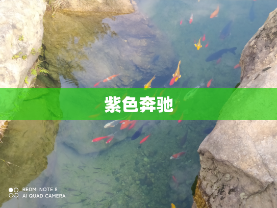 紫色奔驰