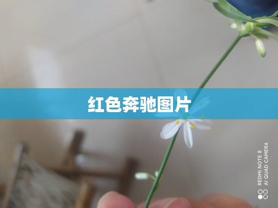 红色奔驰图片