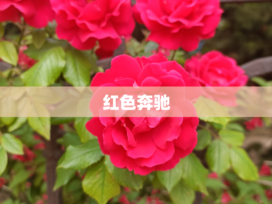 红色奔驰