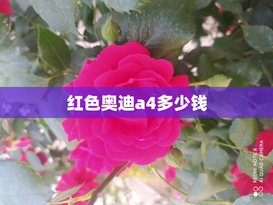 红色奥迪a4多少钱