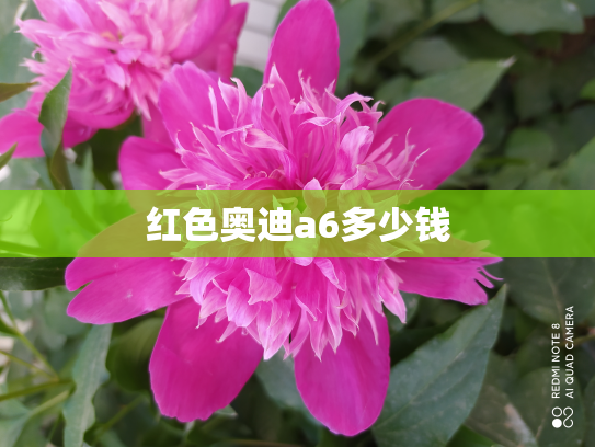 红色奥迪a6多少钱