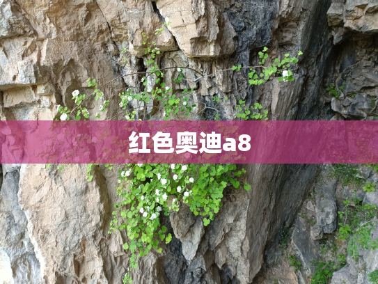 红色奥迪a8