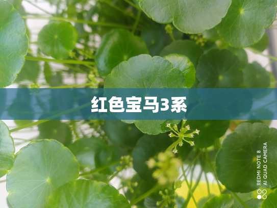 红色宝马3系