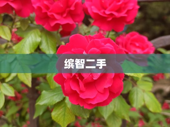 缤智二手